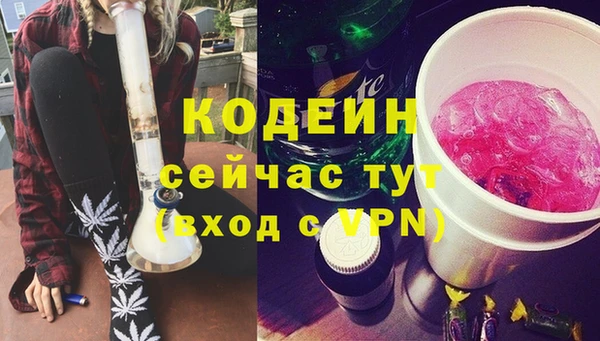 гашик Богородск