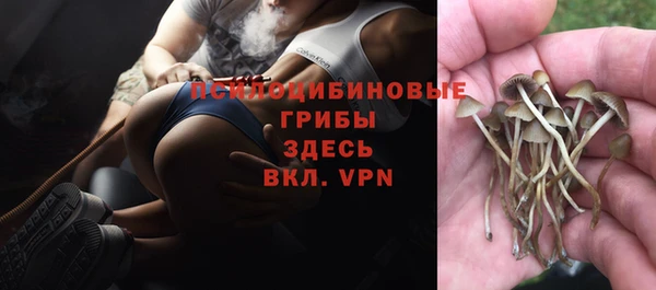 гашик Богородск