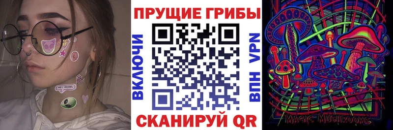 Псилоцибиновые грибы Psilocybine cubensis shop клад Яхрома
